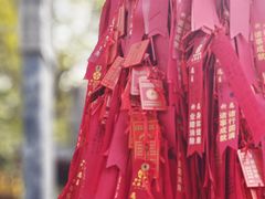 -西安大兴善寺