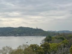 -杭州君悦酒店