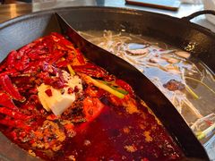 -朱光玉火锅馆(正弘城店)