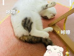 -布歌东京(清河万象汇店)