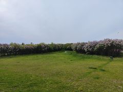 -群力丁香公园