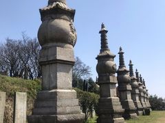 -长沙黑麋峰国家森林公园