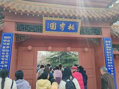 -桃花堤公园