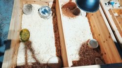 -酷嗒动物文化乐园(cutezoo西溪乐天城店)