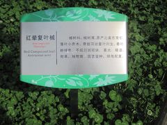 -白塘生态植物园