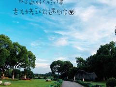 -荷塘月色湿地公园·向阳花洲