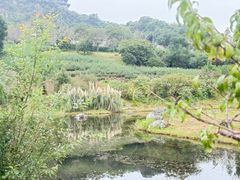 -雅达·阳羡溪山小镇中心