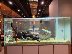 -黄鱼炙夜(华家池店)