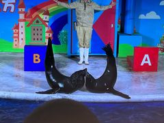 -成都浩海立方海洋公园