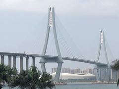 -中澳友谊花园