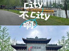 -洋湖国家湿地公园