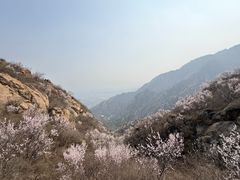 -北京凤凰岭