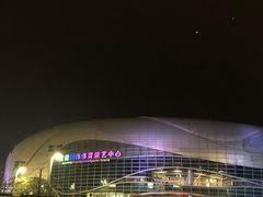 -宝能国际体育演艺中心