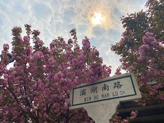 -石家庄市植物园