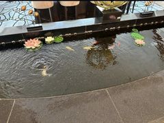 -天津滨海圣光皇冠假日酒店