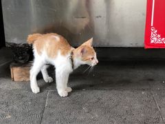 -胡荣泉