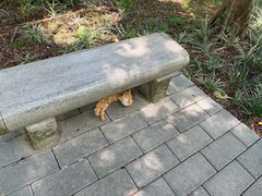 -广州雕塑公园