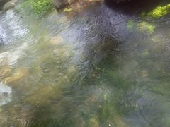 -水磨沟公园