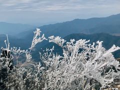 -金子山原生态旅游风景区