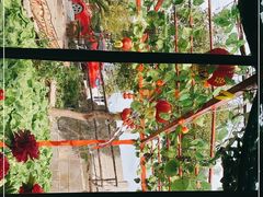 -晓琦农家菜馆·地道农家菜