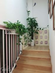 -雷氏普爱产后修护中心(弘阳店)