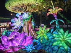 -郑州方特梦幻王国