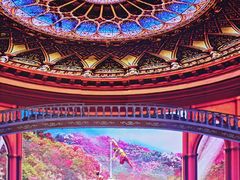 -《驼铃传奇》秀