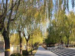 -元大都城垣遗址公园