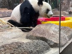 -海南热带野生动植物园