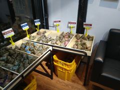 -真真老老(月河花鸟市场店)