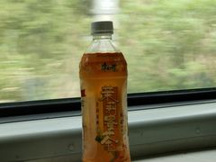 -益阳站