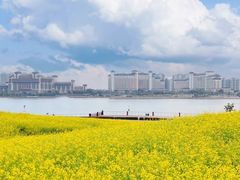 -九龙湖公园
