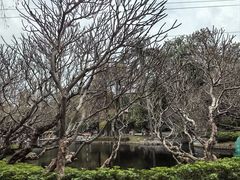 -晓港公园