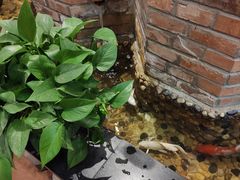 -后院犇牛主题餐厅(云岗店)