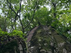 -灵岩山风景区