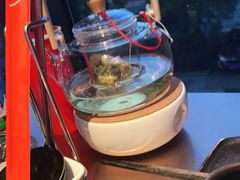 -辣伍鲜毛肚老火锅(元一店)