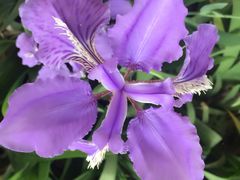 景点-武清南湖绿博园