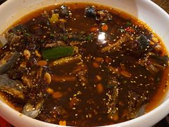 凉拌鸡-铁公鸡·四川料理(天环广场店)