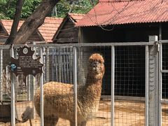 -意大利农场度假村