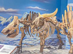 -正佳自然科学博物馆