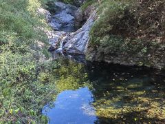 -云岫谷游猎自然风景区