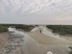 -北海金海湾红树林生态旅游区