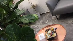 -INSTYLE造型·明星店