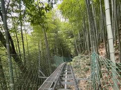 -藏龙百瀑风景区