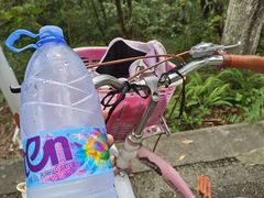 -番禺大夫山森林公园