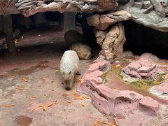 -长鹿旅游休博园