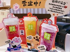 猫猫公益金-奈雪的茶(新天地广场PRO店)