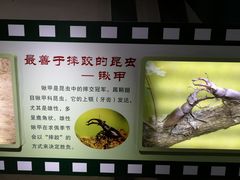 -上海昆虫博物馆