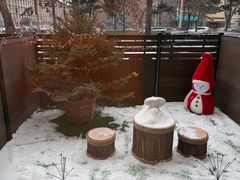 -长春市南湖公园