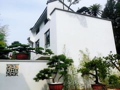 -龙华素斋(龙华路店)